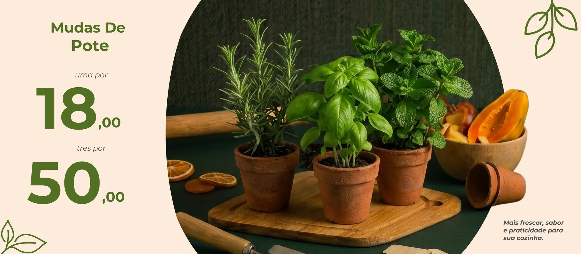 Mudas de pote: uma por R$ 18,00, três por R$ 50,00.